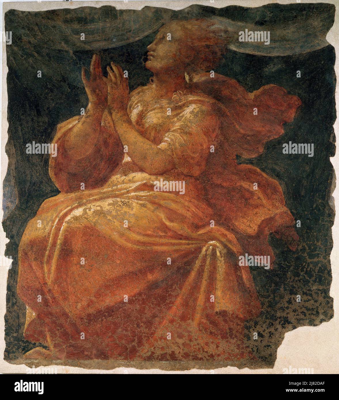 Portrait of a Girl von Cariani, Giovanni de Busi (ca.1485-S.1547)(attr.to); Galleria e Museo Estense, Modena, Italien; Italienisch, urheberrechtlich geschützt. Stockfoto