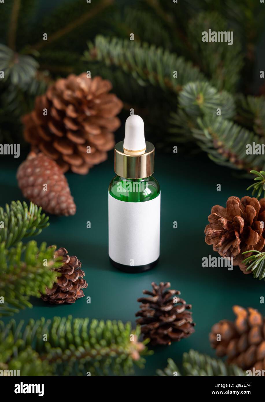 Grüne Pipettendropper-Flaschen mit unbeschrifteter Beschriftung in der Nähe von Tannenzweigen und Tannenzapfen aus nächster Nähe. Modell der Markenverpackung. Hautpflegeprodukt, Creme oder SE Stockfoto
