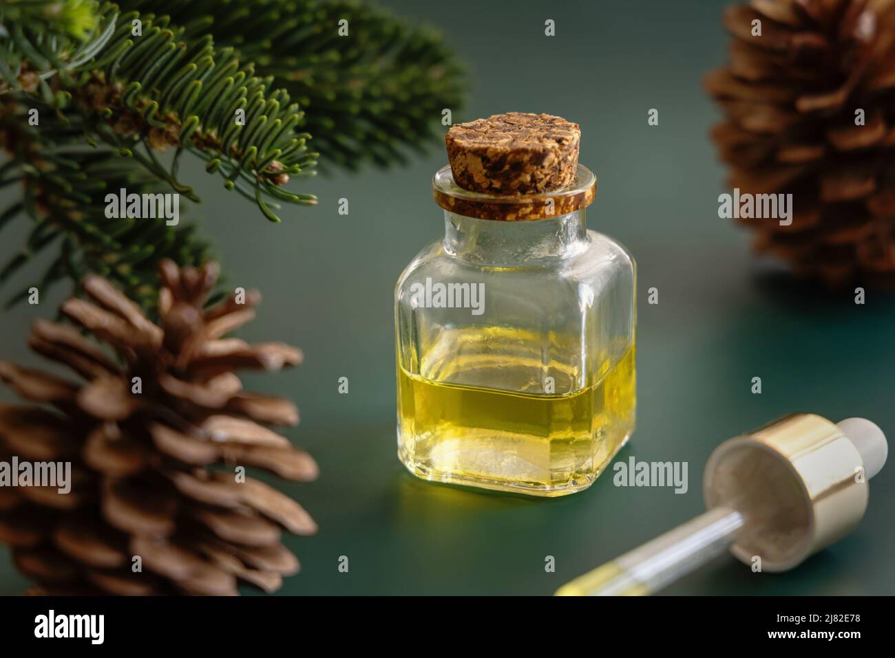 Glasflasche und Tropf mit ätherischem Nadelöl in der Nähe von Tannenzweigen und Tannenzapfen auf grünem Nahaufnahme. Aromatherapie, Spa und Kräutermedizin Konzept. Stockfoto