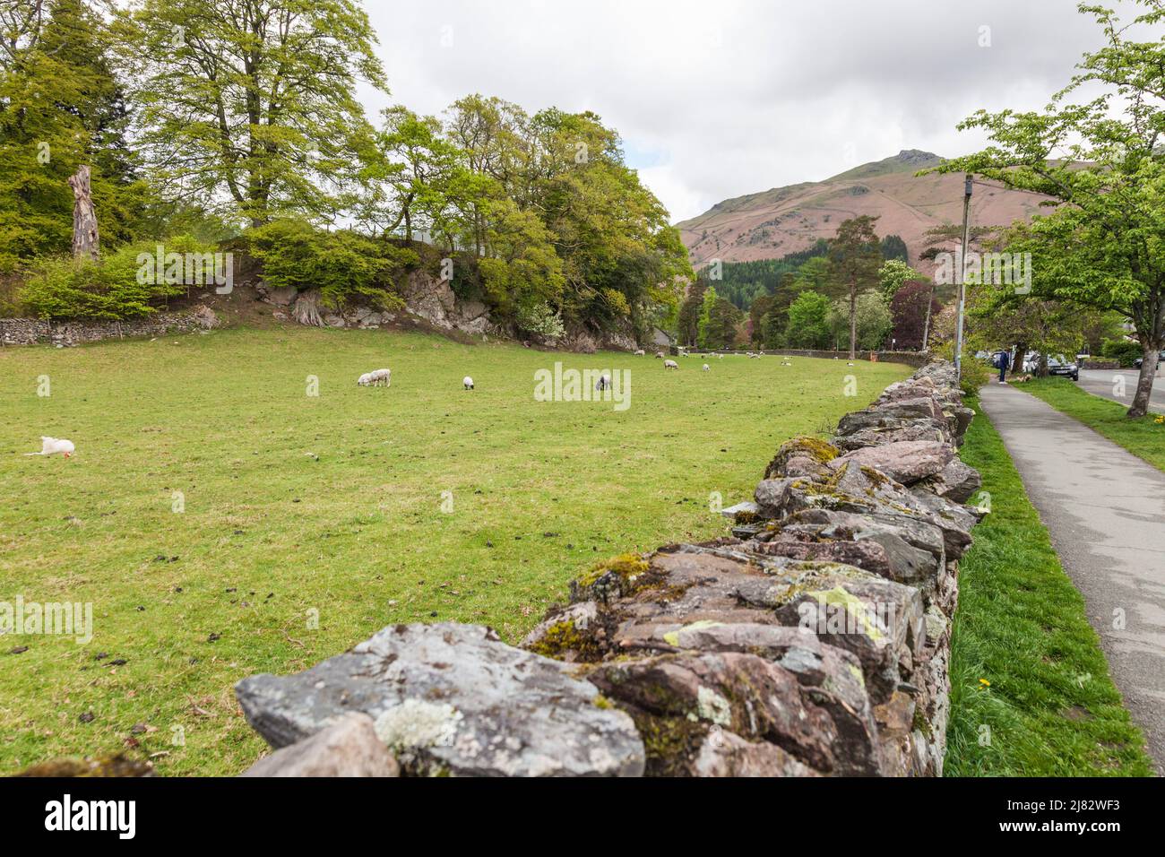 Moosbedeckte Steinmauern in Grasmere, Lake District, England, Großbritannien Stockfoto