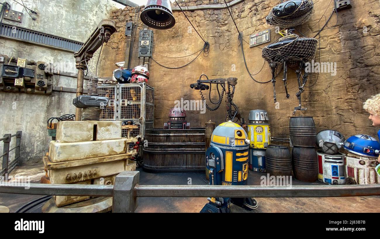 Orlando, FL USA-27. November 2019: Die Star Wars Androids werden in den Hollywood Studios in Orlando, Florida, ausgestellt. Stockfoto