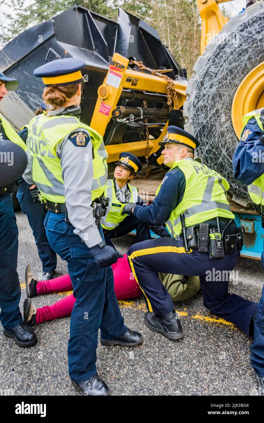Anti-Pipeline-Demonstranten wurden von der RCMP am Eingang des Trans-Mountain-Pipeline-Terminals von Kinder Morgan, Burnaby, British Columbia, Kanada, gewaltsam festgenommen Stockfoto