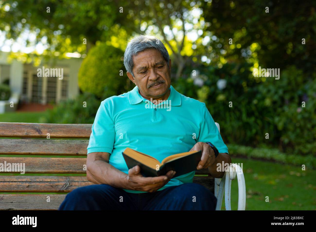 Serious biracial Senior Mann Buch mit Fokus lesen, während auf der Bank gegen Pflanzen im Park sitzen Stockfoto