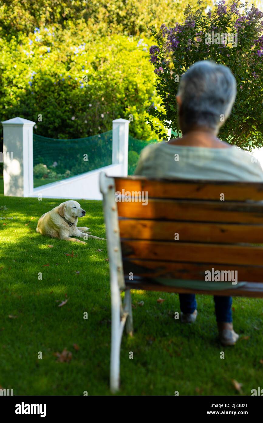 Hund liegt auf Gras und Rückansicht der älteren Frau mit kurzen Haaren auf der Bank im Park sitzen Stockfoto