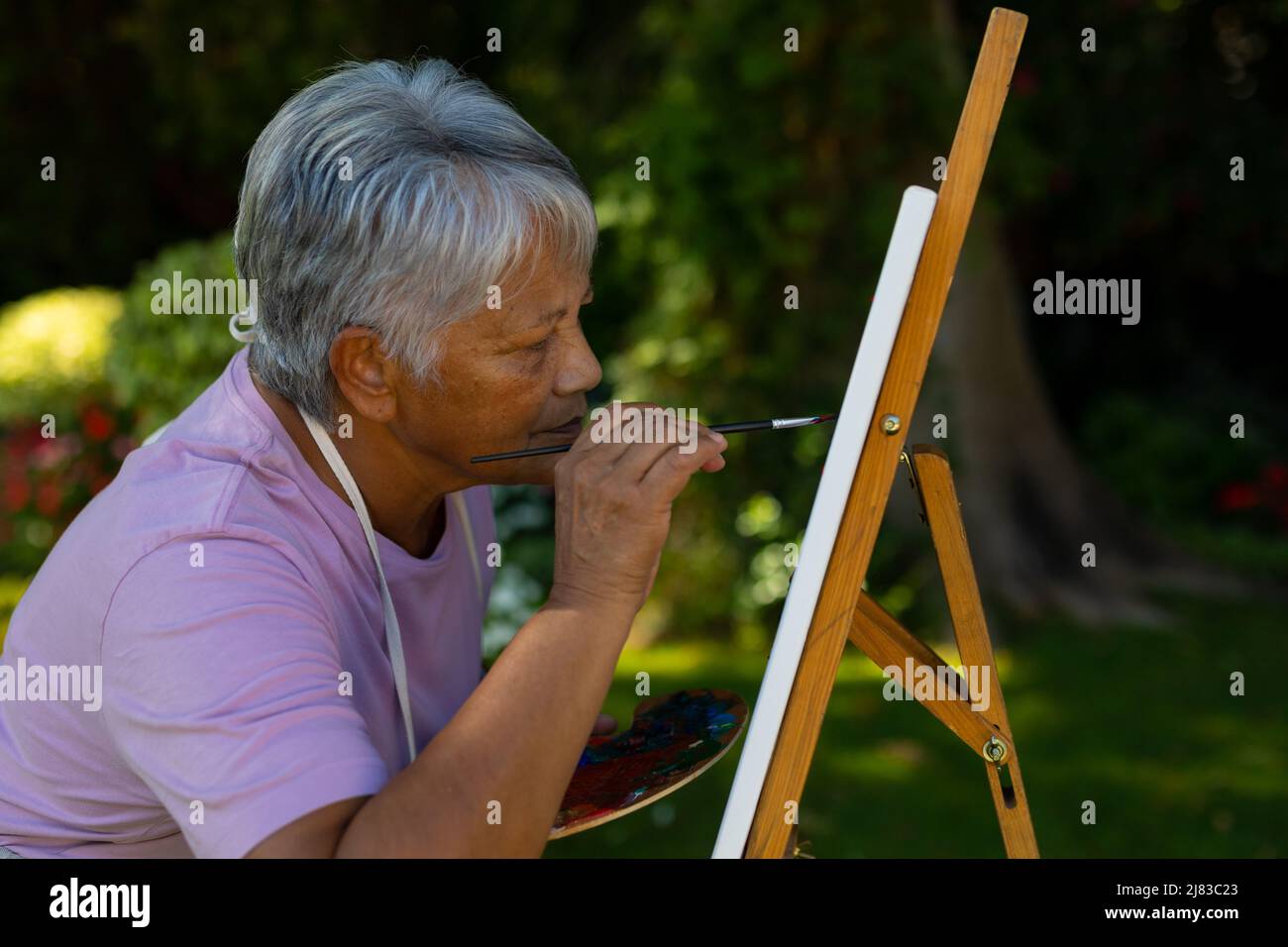 Fokussierte ernsthafte Biracial ältere Frau mit kurzen Haaren Malerei auf Leinwand mit Aquarellen im Hof Stockfoto
