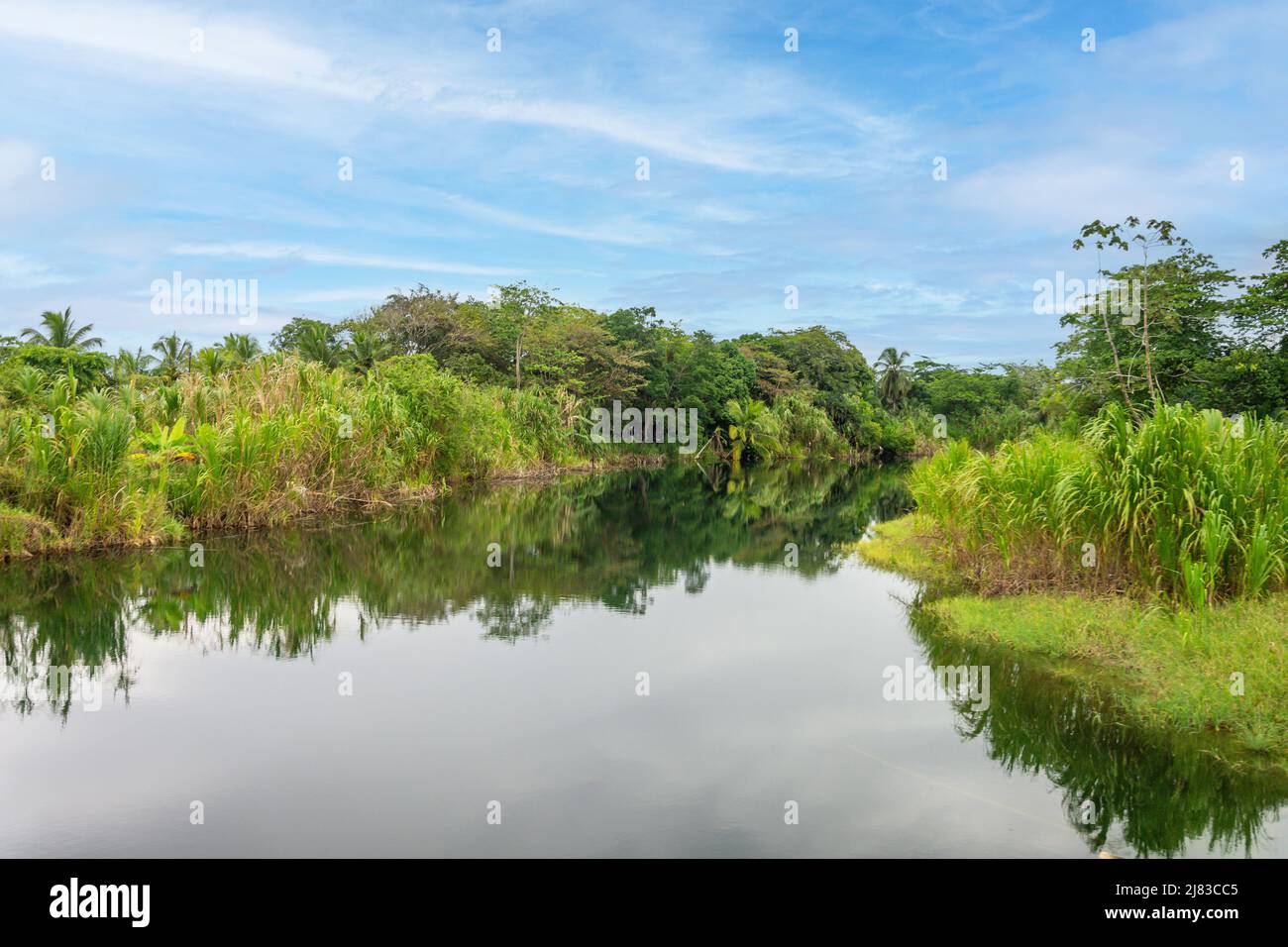 Regenwald und Flussreflexionen, Provinz Limón, Republik Costa Rica Stockfoto