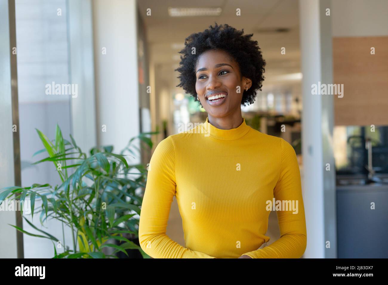 Glückliche afroamerikanische Frauenberaterin mit Afro-Frisur, die auf den modernen Arbeitsplatz schaut Stockfoto