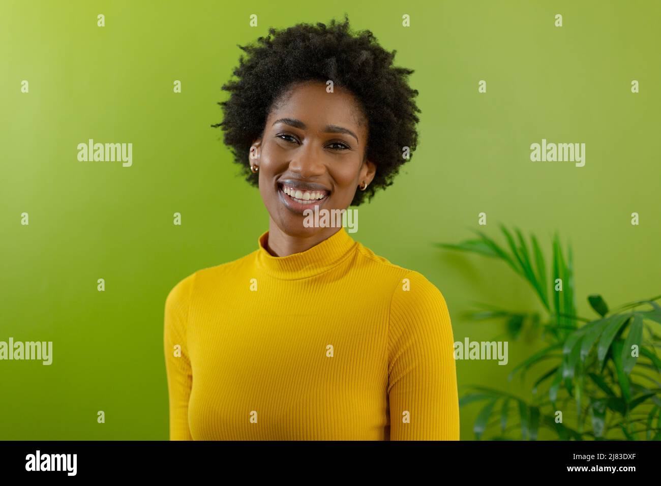 Porträt einer lächelnden jungen afroamerikanischen Geschäftsfrau mit Afro-Frisur gegen die grüne Wand Stockfoto