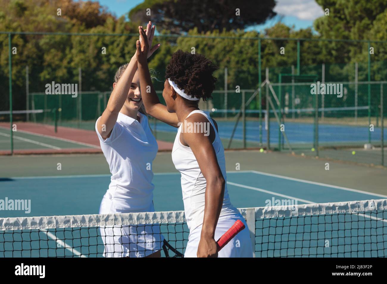 Glückliche weibliche Biracial-Konkurrenten geben High-Five über Netz auf dem Tennisplatz an sonnigen Tag Stockfoto