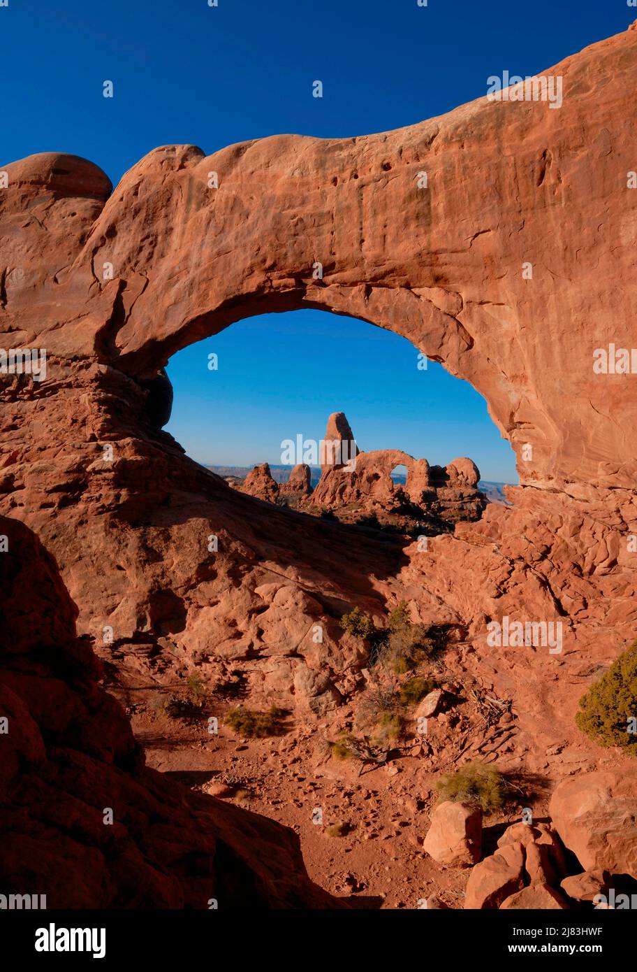 Blick auf den Turtle Arch, Arches National Park, Utah, USA Stockfoto