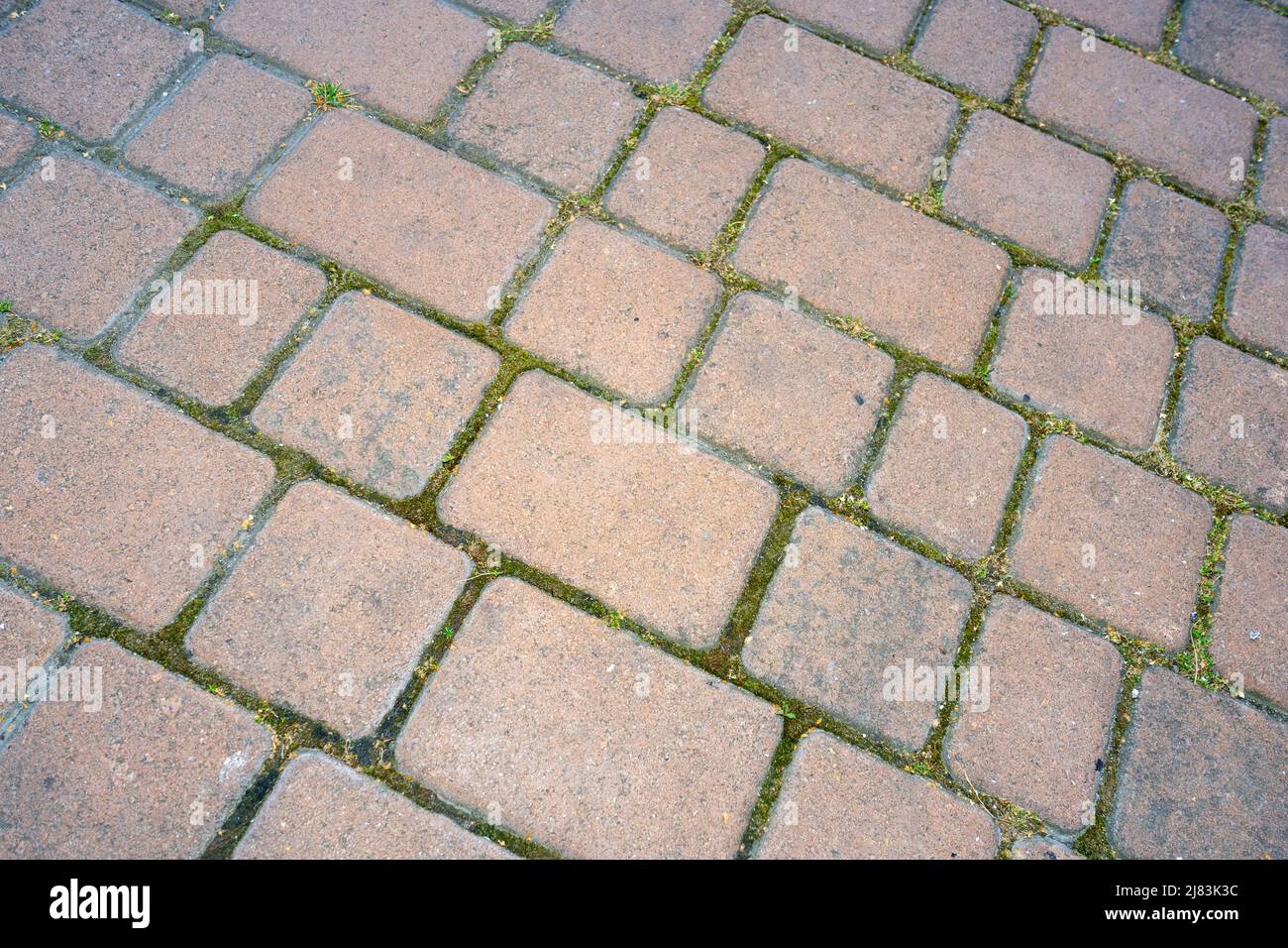 Blick von oben auf den roten Ziegelsteinpflaster-Gehweg. Stockfoto