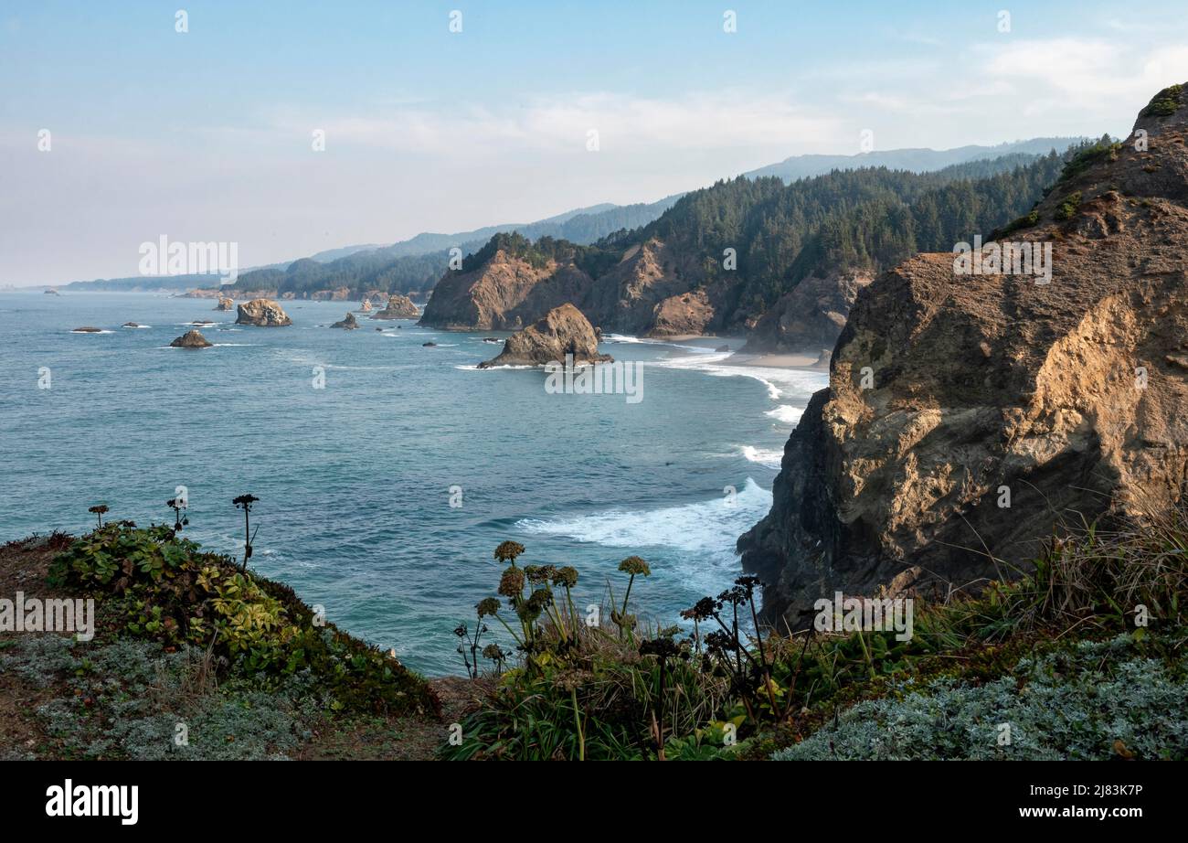 Küstenlandschaft mit zerklüfteten Felsen, Samuel H. Boardman State Scenic Korridor, indische Sands Trail, Oregon, USA Stockfoto