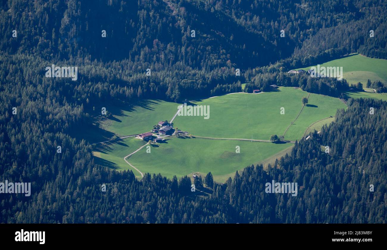 Einzelner Bauernhof mit Feld umgeben von Wald, Tirol, Österreich Stockfoto