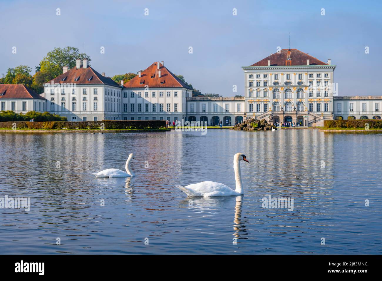 Schwäne schwimmen vor Schloss Nymphenburg, Schlossgarten, München, Bayern, Deutschland Stockfoto