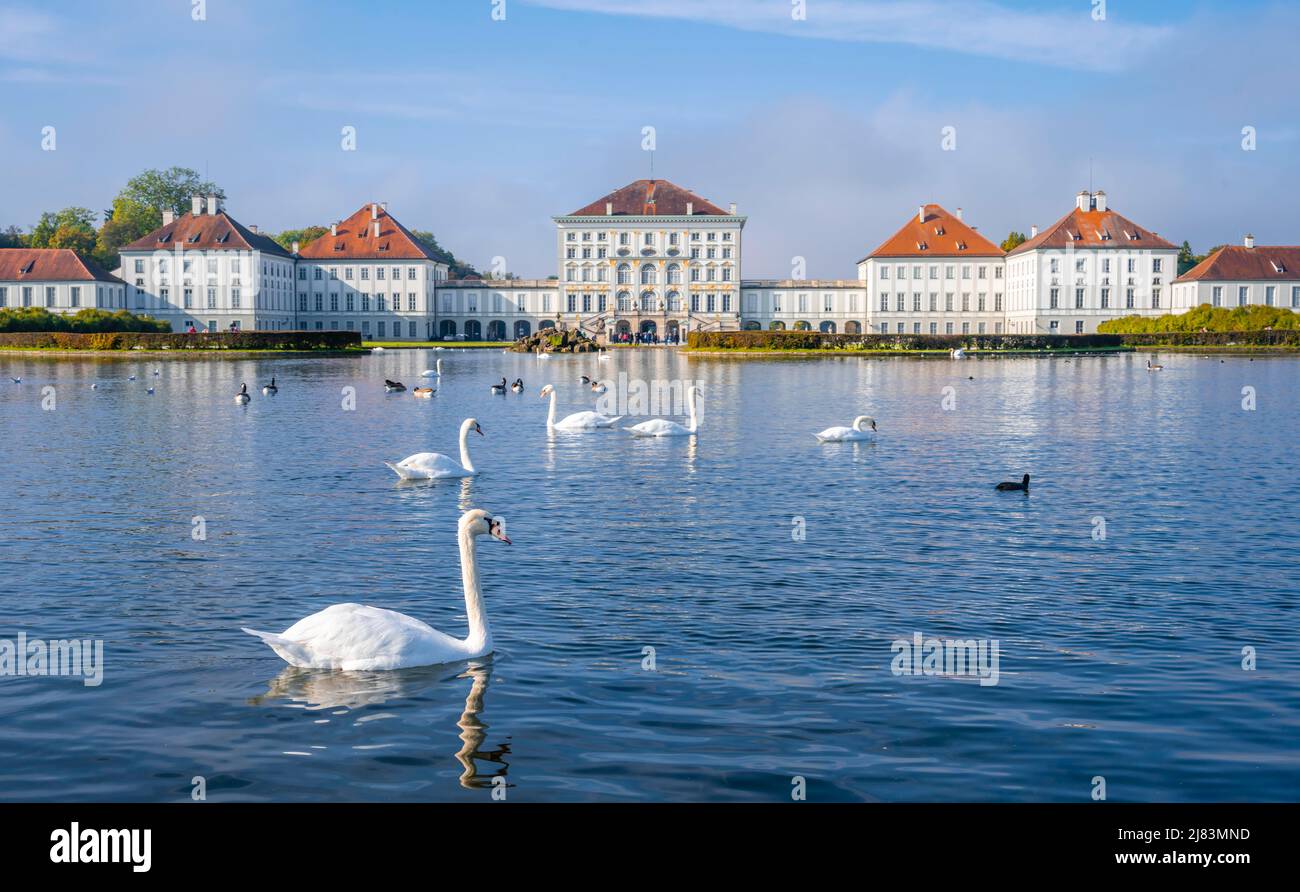 Schwäne schwimmen vor Schloss Nymphenburg, Schlossgarten, München, Bayern, Deutschland Stockfoto