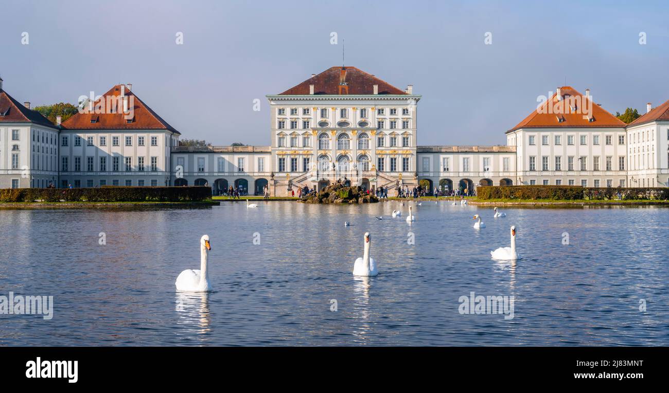 Schwäne schwimmen vor Schloss Nymphenburg, Schlossgarten, München, Bayern, Deutschland Stockfoto