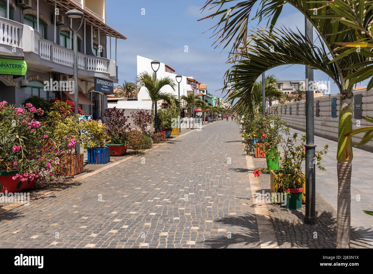 Eine farbenfrohe Straße mit Pflanzen und Blumen in Santa Maria, Sal, Kapverdischen Inseln, Afrika Stockfoto