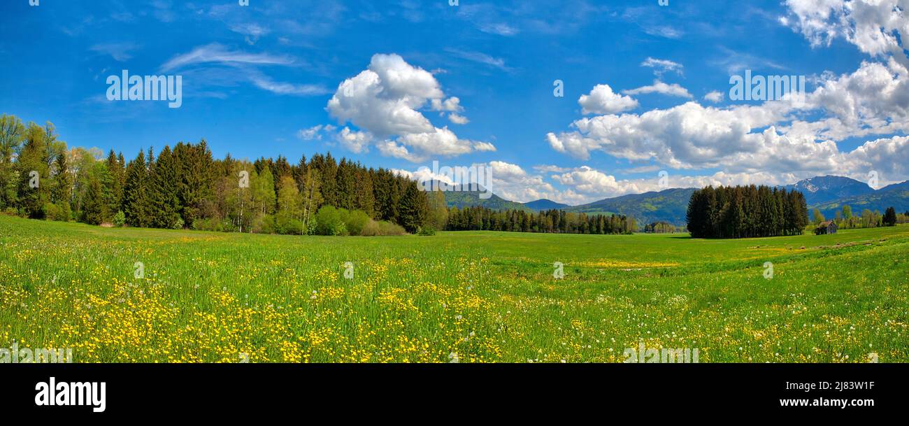 DE - BAYERN: Großer Himmel über dem Loisach Moor in Oberbayern (HDR-Panoramablick) Stockfoto