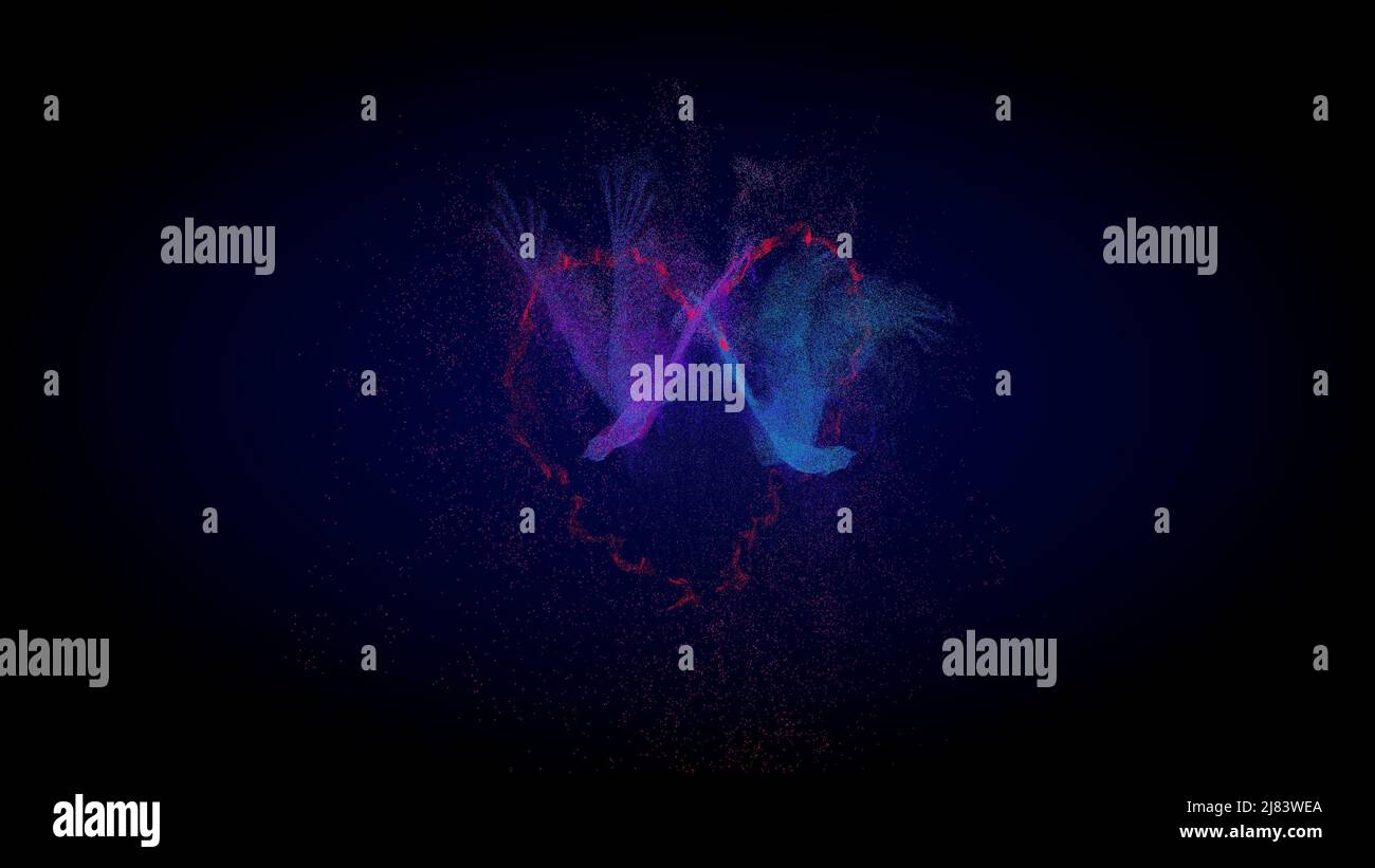 Zwei digitale Modelle von rosa und blauen magischen Vögeln des Glücks fliegen entlang der Flugbahn des Herzens. Phönix Vogel, Adler Silhouette. Hochzeitssymbole, l Stockfoto