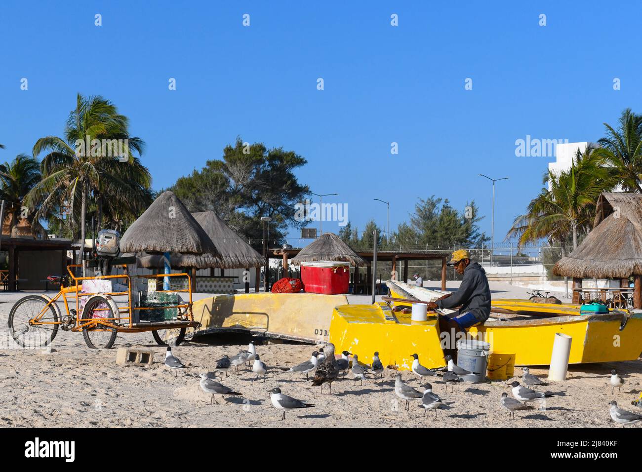 Fischer sortieren Fisch am Progreso Beach, Yucatan, Mexiko Stockfoto