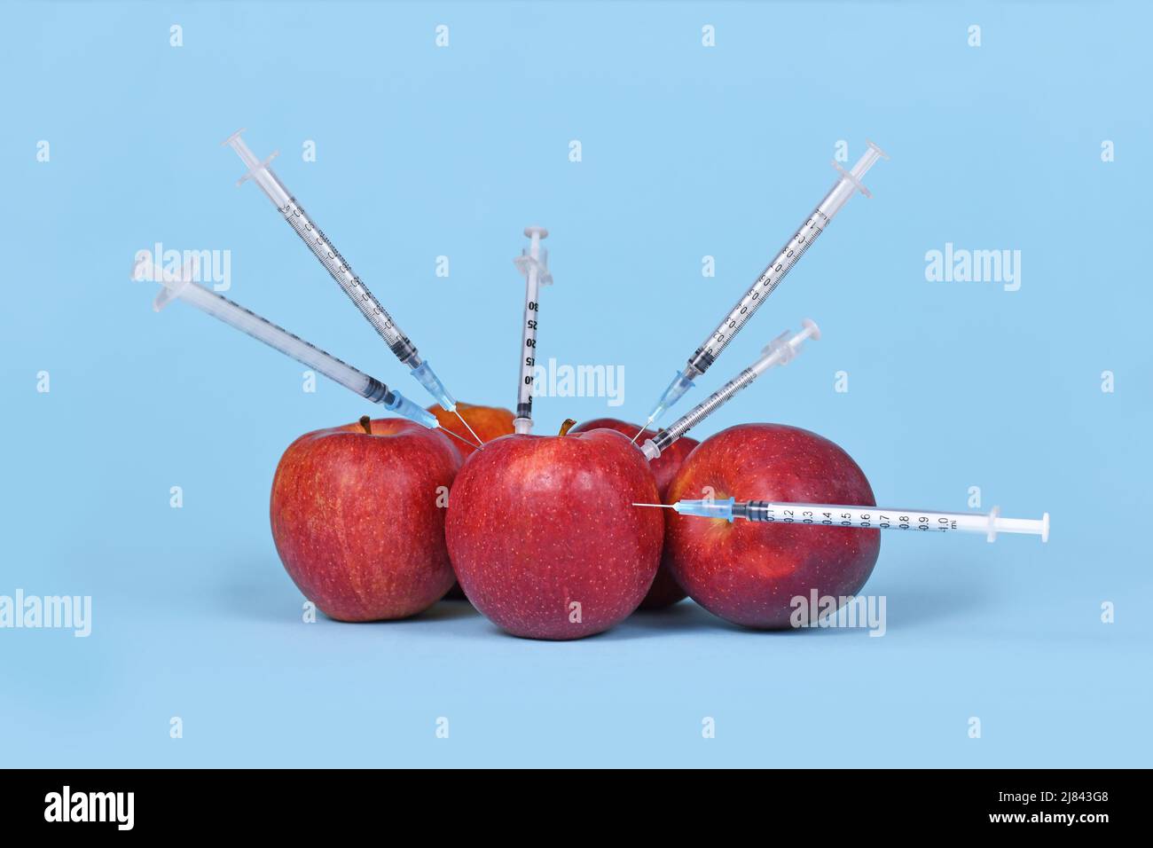 Mehrere Apfelfrüchte werden mit Spritzen injiziert. Konzept für gentechnisch veränderte Organismen Stockfoto