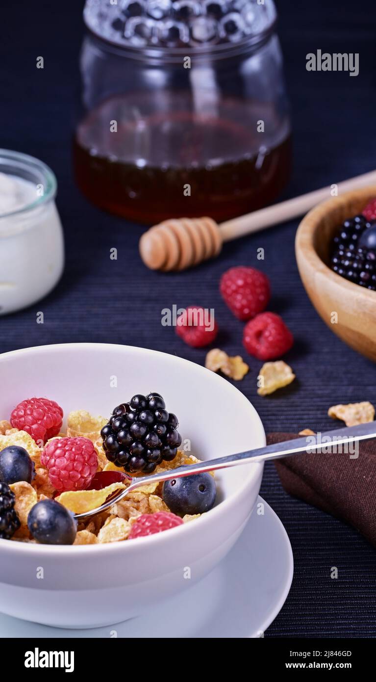 Gesundes Bio-Frühstück mit einer Schüssel Müsli, Beeren, Honig und Joghurt Stockfoto