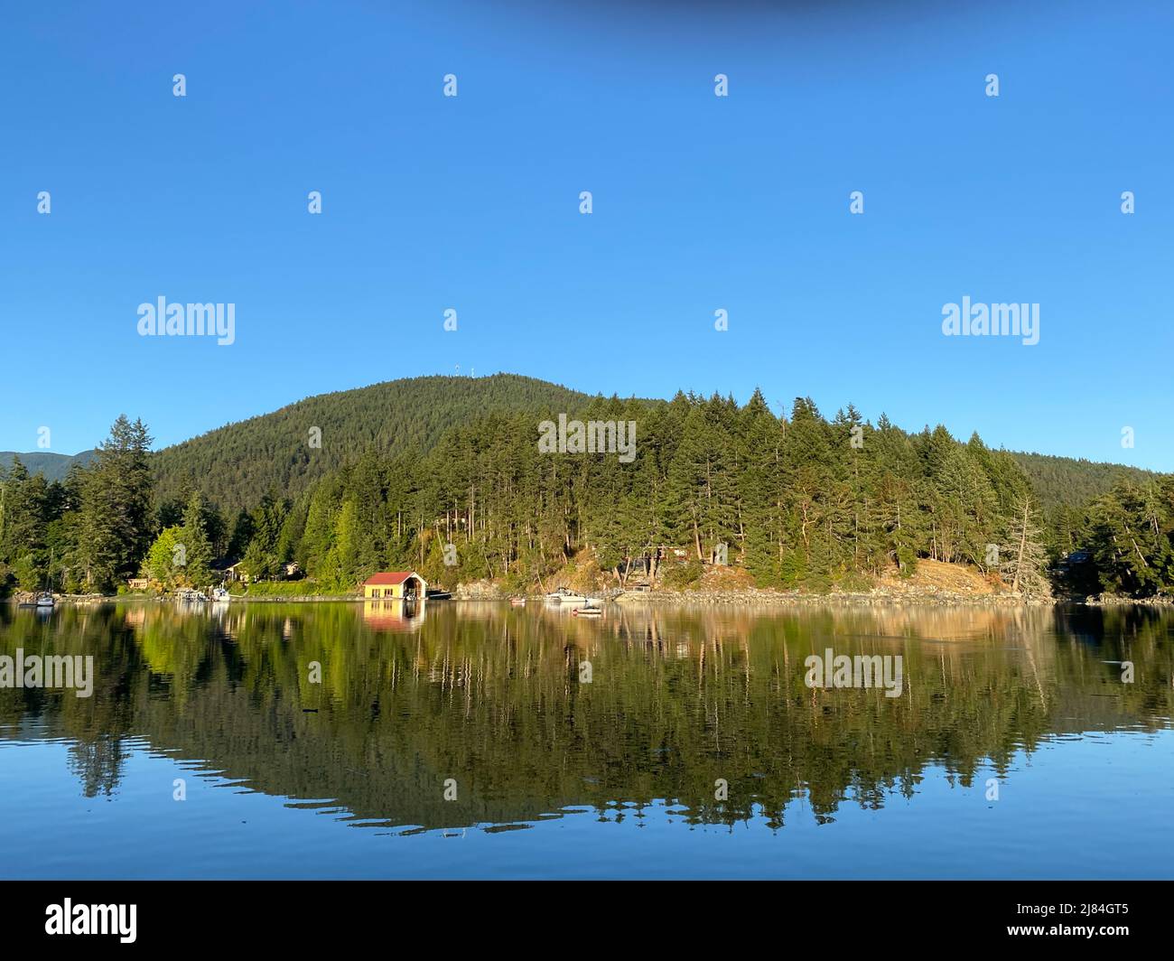 Perfekte Spiegelung eines kleinen Hügels in der Bargain Bay, in der Nähe von Pender Harbour, British Columbia, Kanada Stockfoto