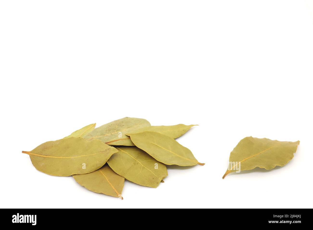 Getrocknete Lorbeerblätter oder Laurus nobilis Gewürz isoliert auf weißem Hintergrund. Stockfoto