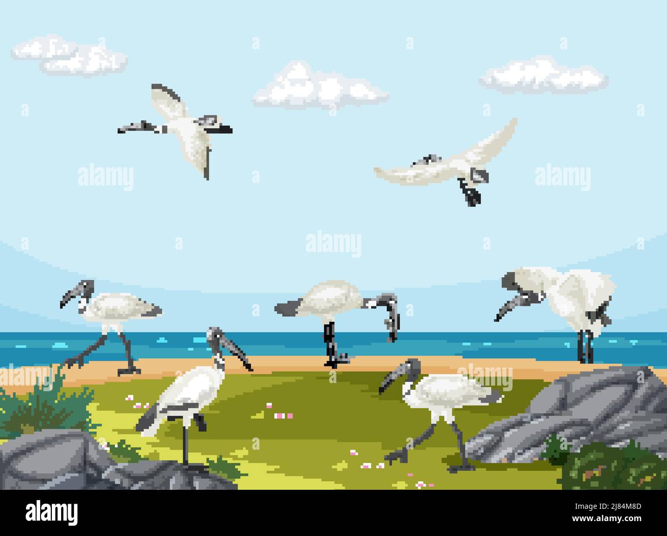 Australische weiße Ibis-Gruppe in Feuchtgebiet Landschaft Illustration Stock Vektor