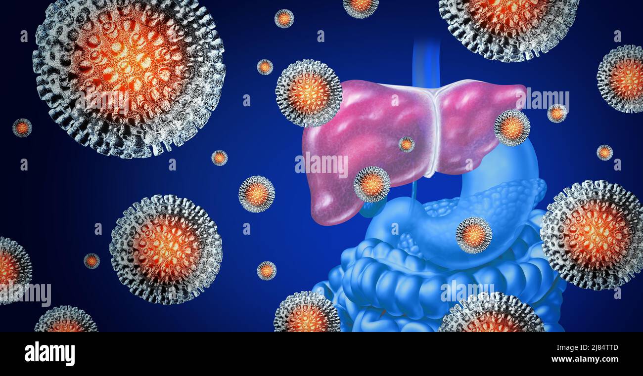 Hepatitis-Krankheitskonzept als eine Gruppe von dreidimensionalen menschlichen Viruszellen auf einer menschlichen Leber als medizinische Illustration für eine Virusinfektion. Stockfoto