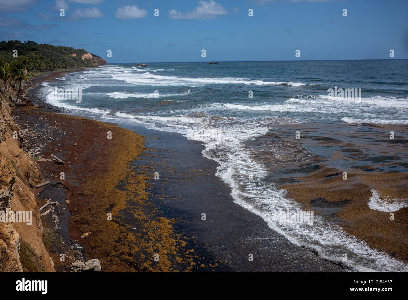 Londonberry Bay, ein schwarzer Sandstrand, an Dominicas zerklüfteter Ostküste, wo eine Szene aus Piraten der Karibik am Ende der Welt gedreht wurde. Stockfoto