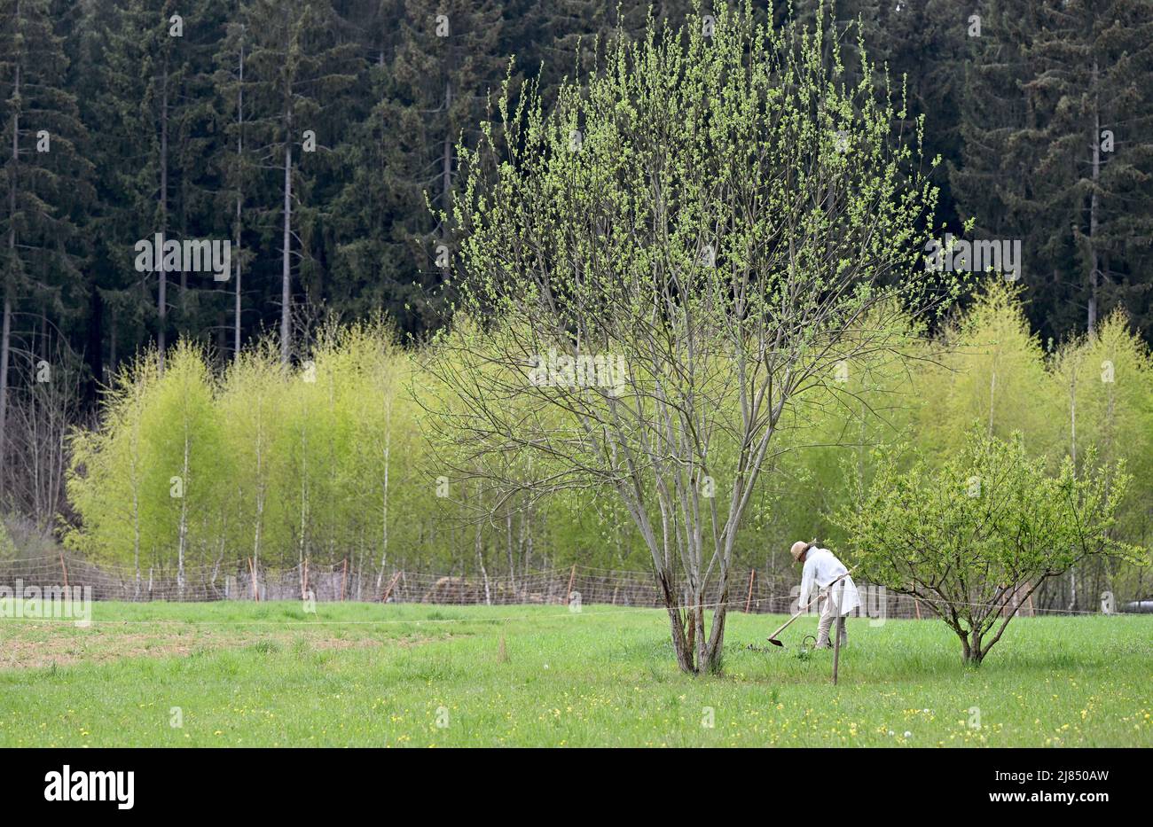 29. April 2021, Baden-Württemberg, Meßkirch: Eine Frau arbeitet auf dem Gelände der Klosterstadt Campus Galli auf einem Feld. Seit 2013 baut die Klosterstadt Campus Galli nach mittelalterlichen Handwerken und Methoden. Foto: Bernd Weißbrod/dpa Stockfoto