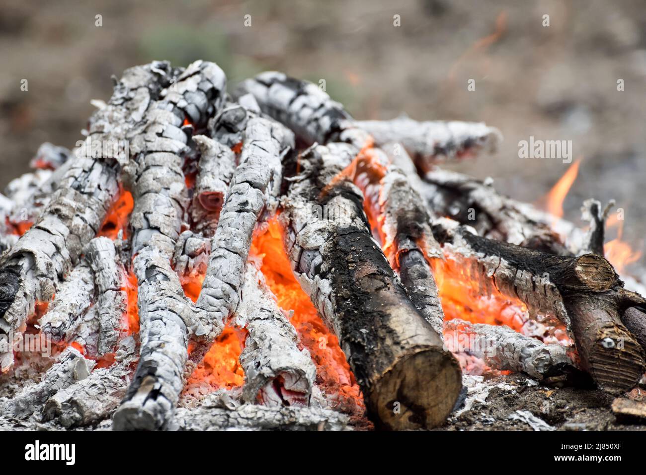 Nahaufnahme von brennenden Kohlen in einem Lagerfeuer machen von Touristen zum Kochen, die Ursache von Waldbränden Stockfoto