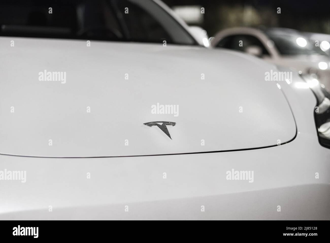 Tesla-Firmenlogo auf der vorderen Motorhaube des Elektroautos. Das Insignie von Tesla Motors auf einer weißen Motorhaube eines Elektrofahrzeugs Stockfoto