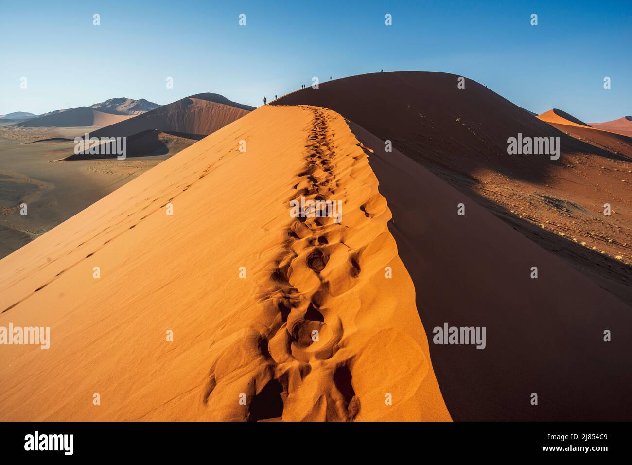 Obere Kante der roten Sanddüne mit entfernten menschlichen Figuren und Beinspuren in Sossusvlei, Namibia Stockfoto