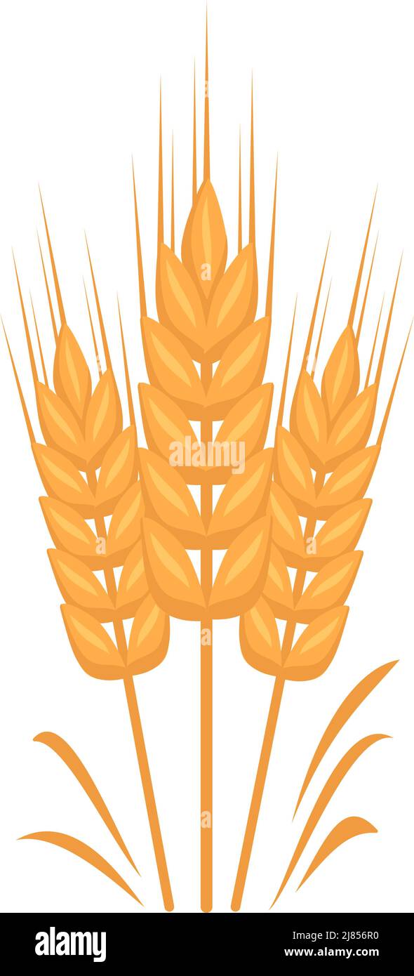Goldene Ähre aus Weizen, Körner für die Herstellung von Mehl, Brot backen und andere Lebensmittel. Vektorgrafik flach Stock Vektor