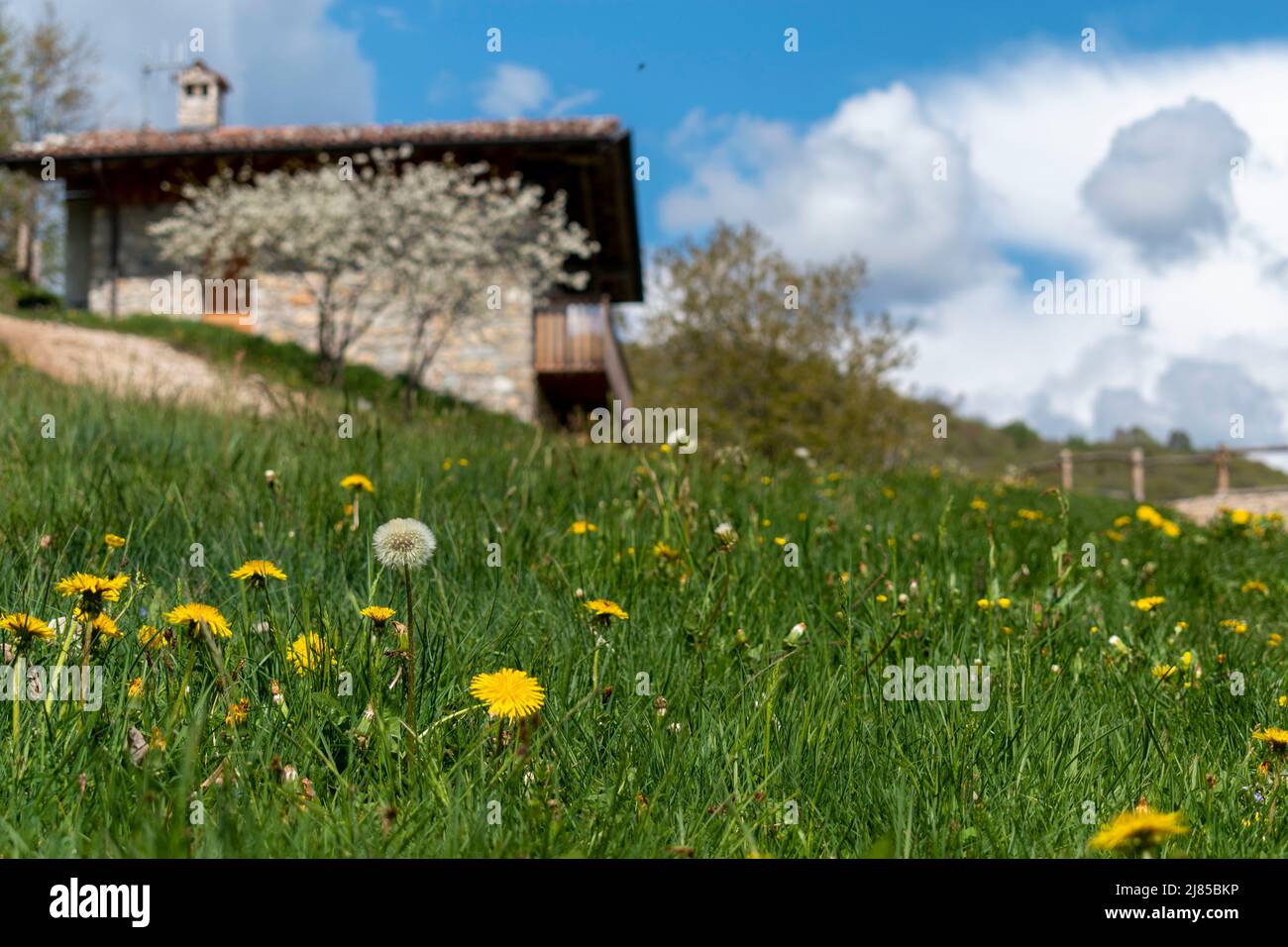 Springtime Hill in Italien Stockfoto