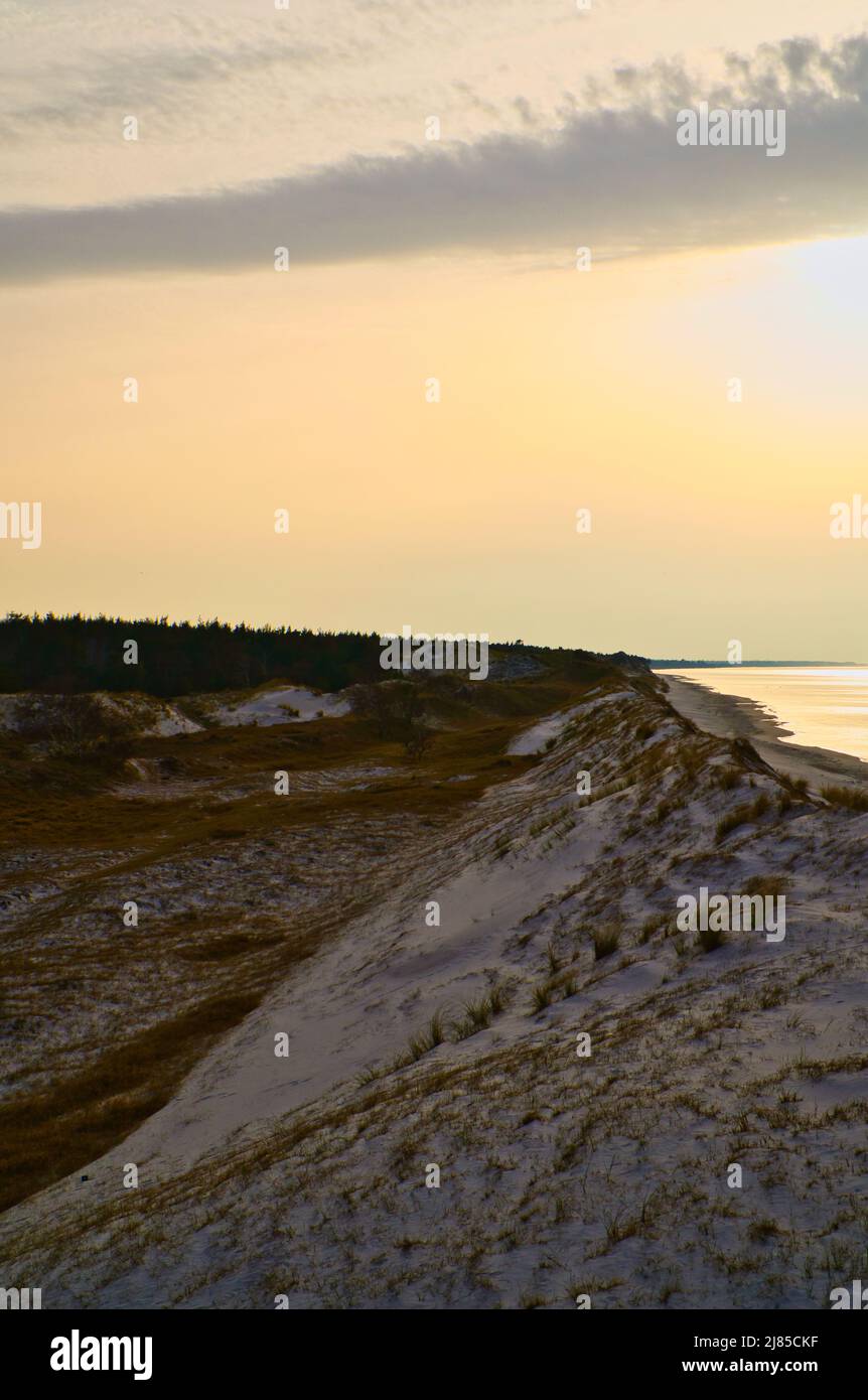Hohe Düne auf dem darss. Aussichtspunkt im Nationalpark. Strand, Ostsee, Himmel und Meer. Natur in Deutschland aufgenommen Stockfoto