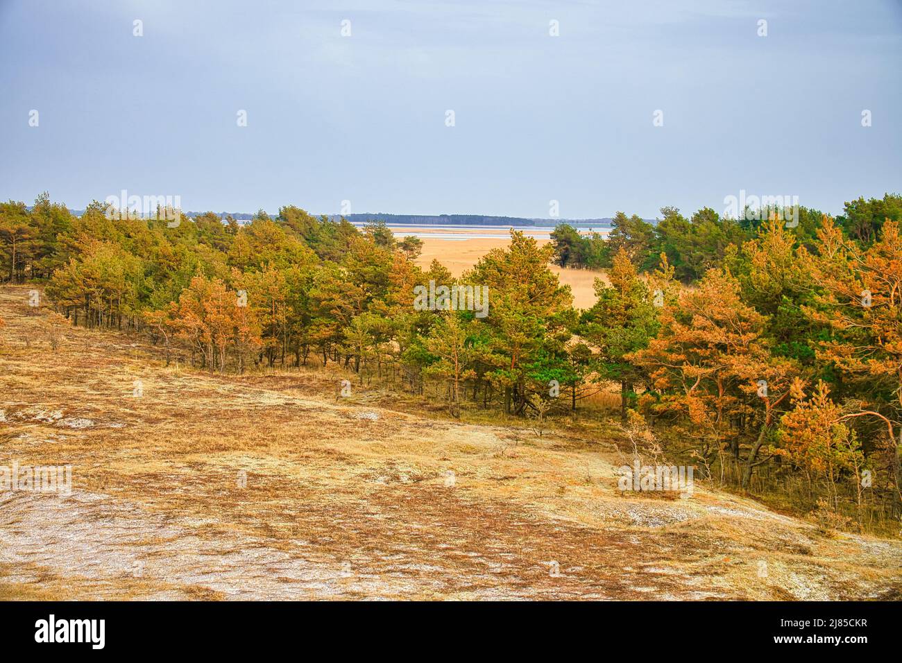 Blick auf die hohe Düne am darss. Aussichtspunkt im Nationalpark. Wald, Düne, Sand und Himmel. Natur in Deutschland aufgenommen Stockfoto
