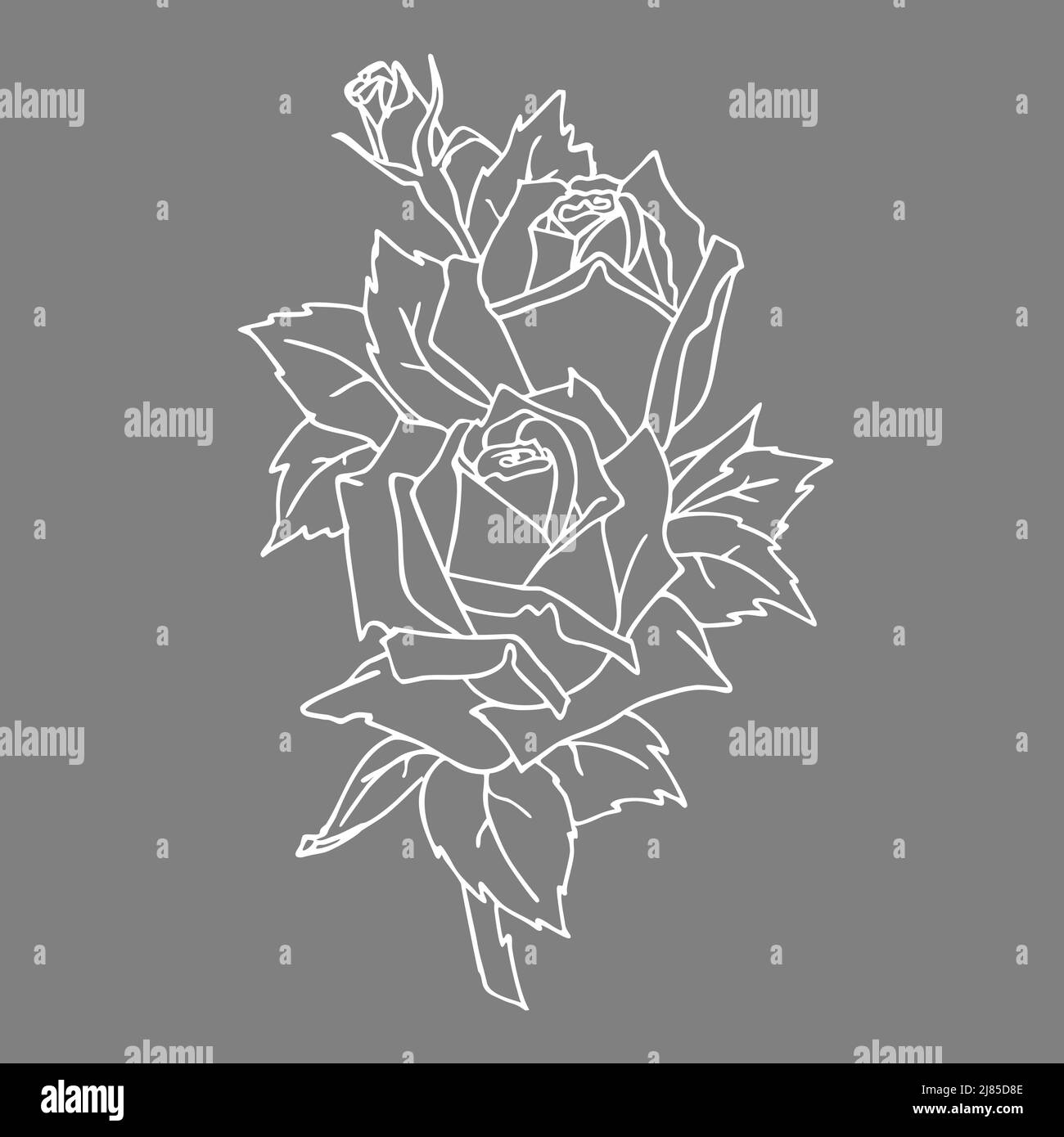 Weiße Konturzeichnung eines Rosenzweiges auf grauem Hintergrund, Grafik, Design, Kunst Stockfoto
