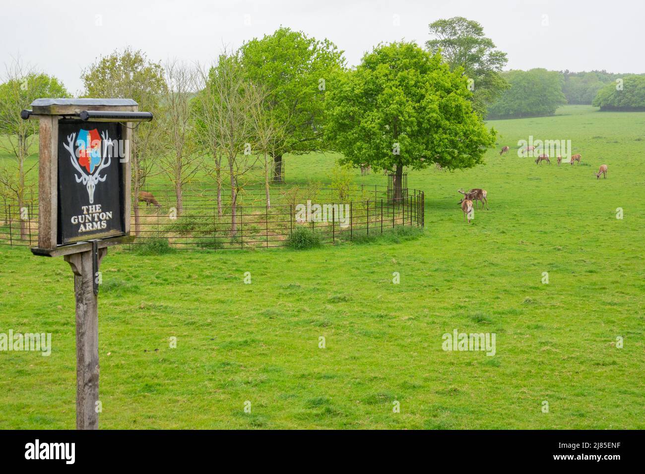 Gunton Arms Stockfoto