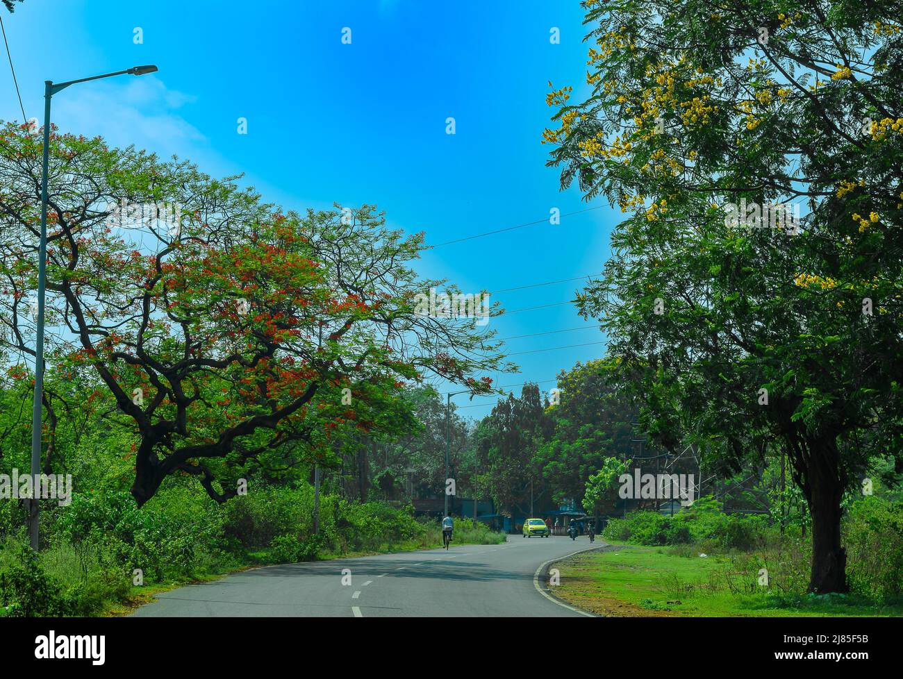 Schöner Blick auf die Curvy Road mit Bäumen umgeben. Selektiver Fokus wird verwendet. Stockfoto