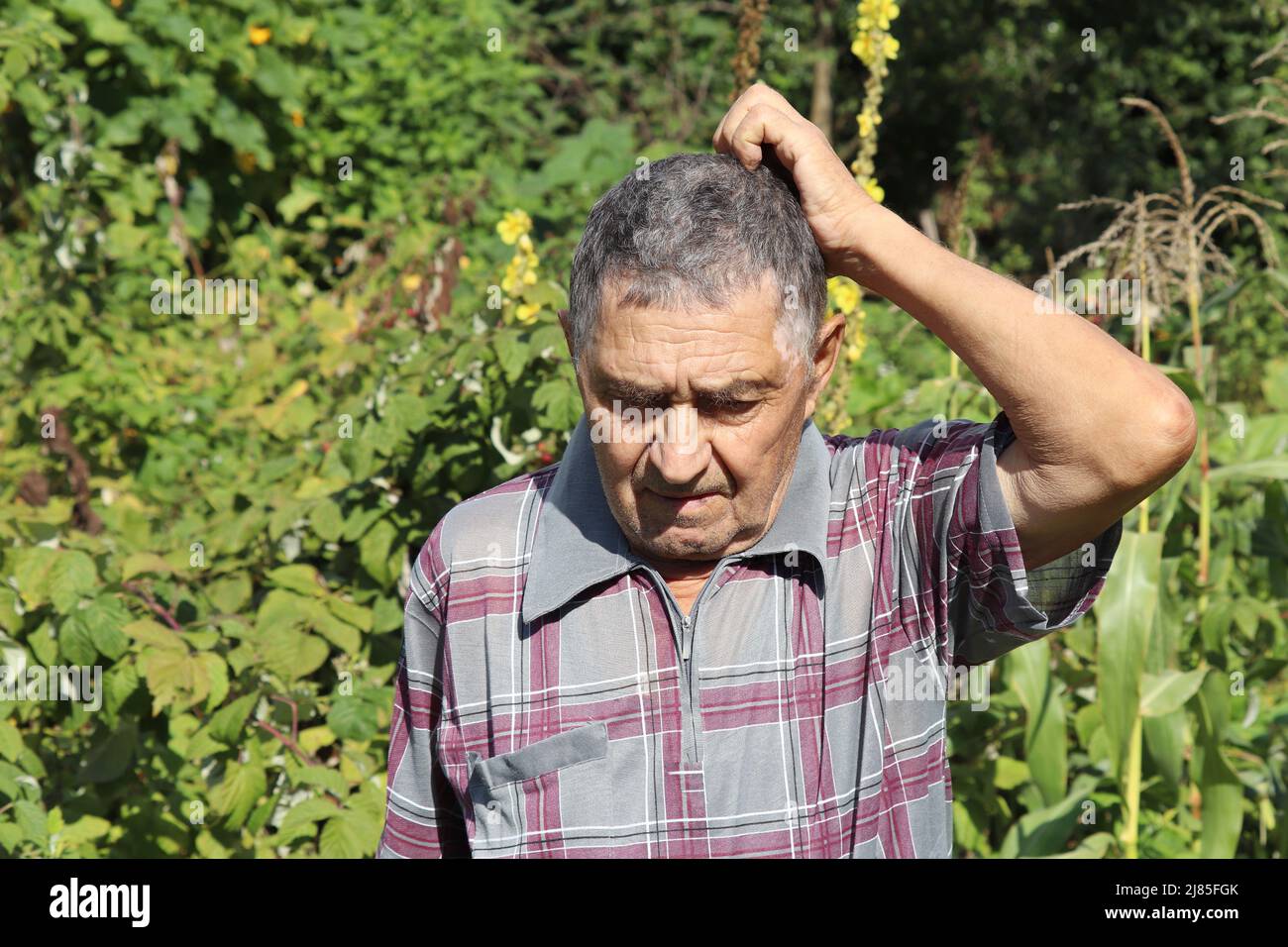 Porträt eines älteren Mannes, der sich im Sommergarten den Kopf kratzt. Konzept des Lebens im Dorf, Alter Stockfoto