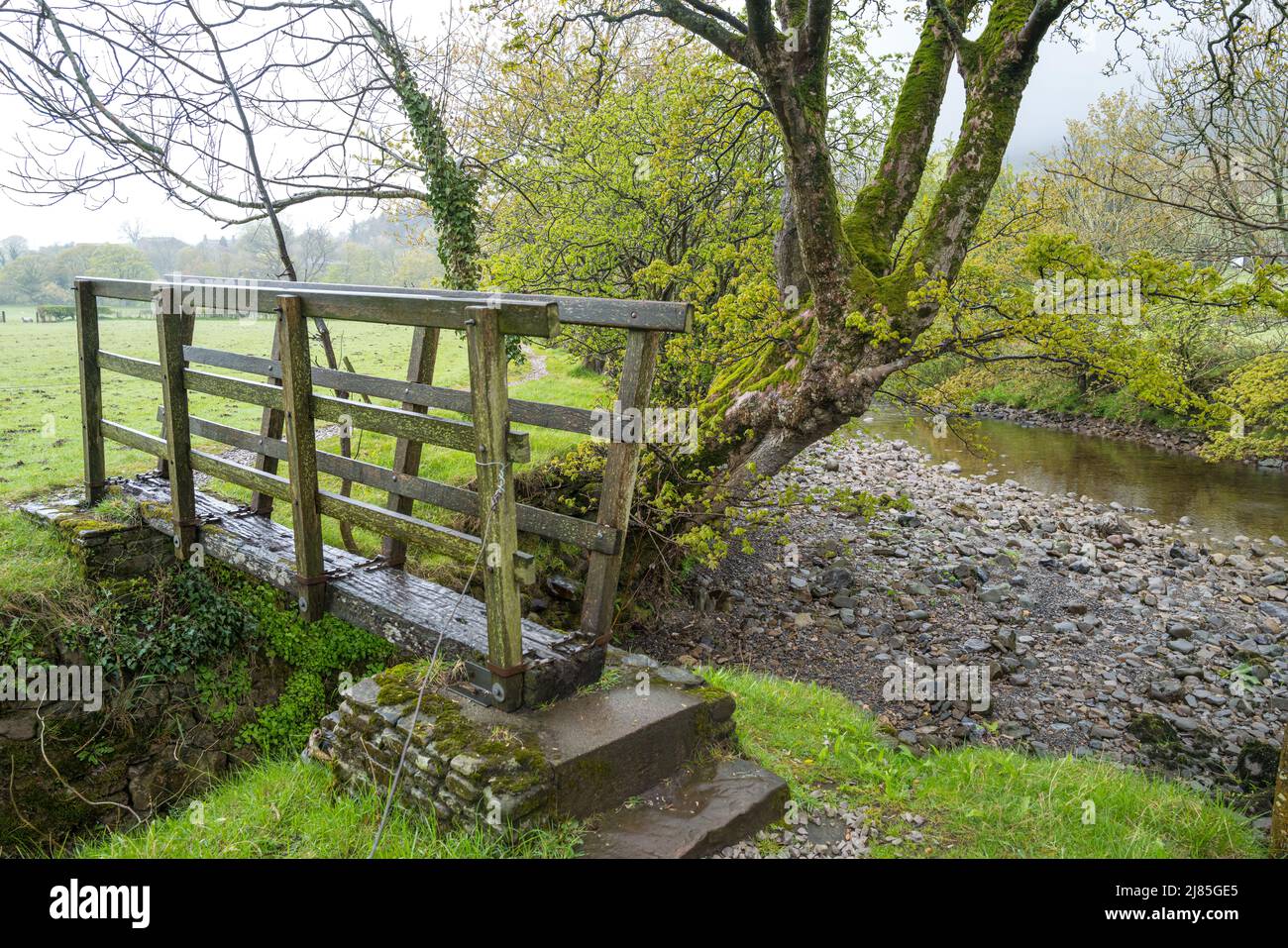 Alte Holzbrücke und trockene Steinmauer am Bach in Dentdale, Cumbria Stockfoto