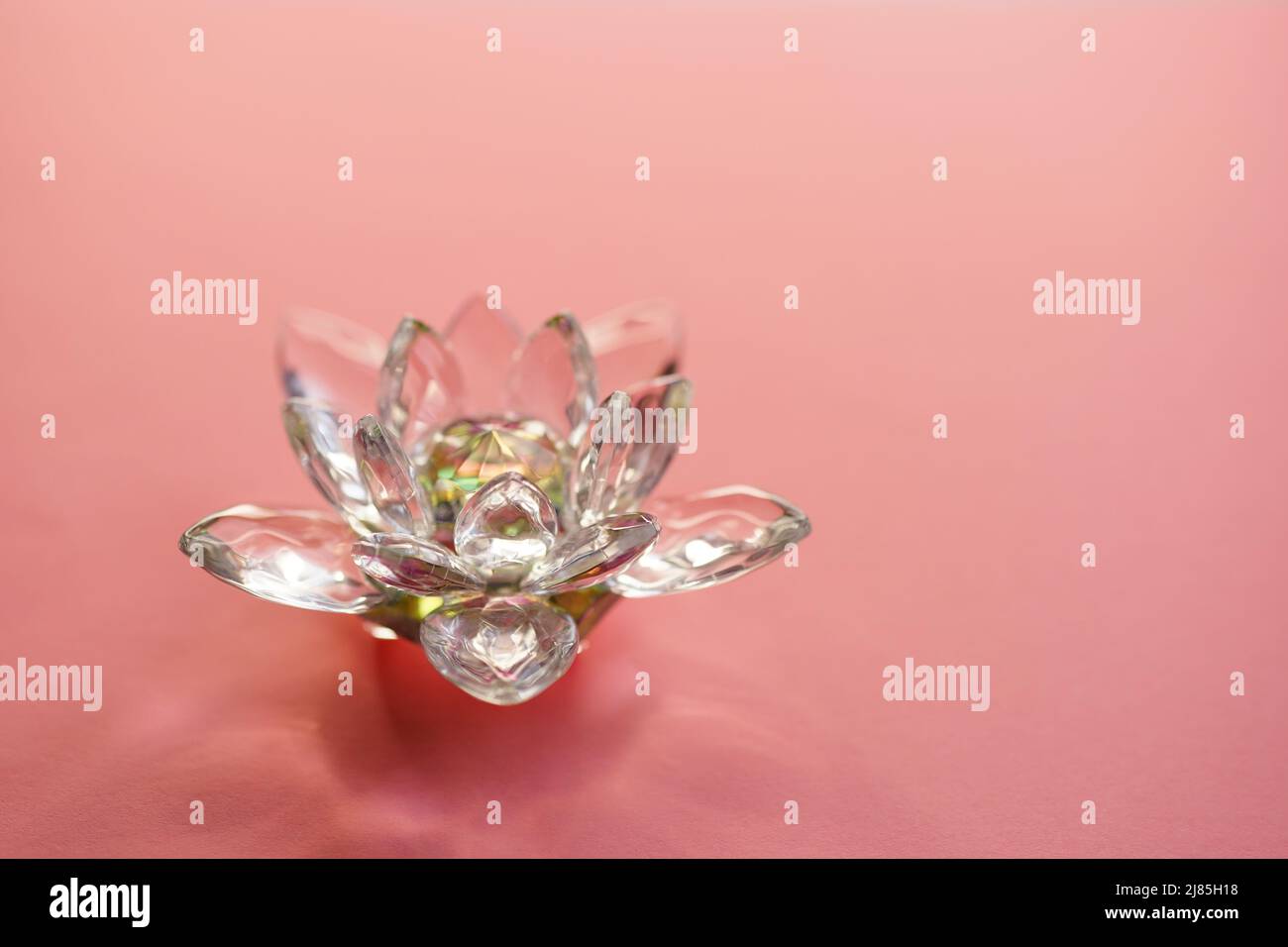 Kristalllotus auf rosafarbenem Tisch. Symbol für Reinheit, Wiedergeburt und Erleuchtung Stockfoto