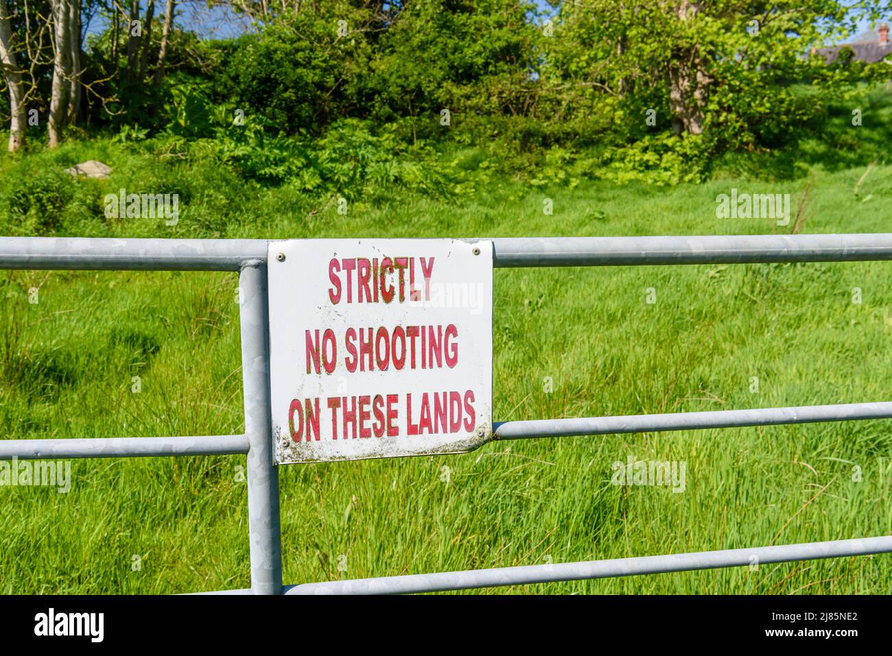 Schild mit Warnung: „Auf diesen Ländern gibt es keine Schießerei“ Stockfoto