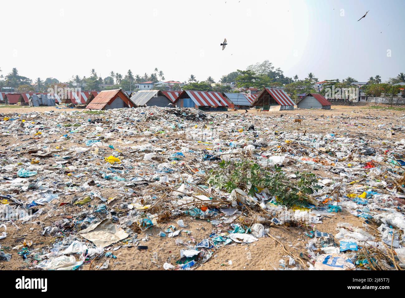 Müll wurde neben fischermenÕs Hütten in Tangassery, Thangassery, Kerala, Indien, gedumpt. Stockfoto