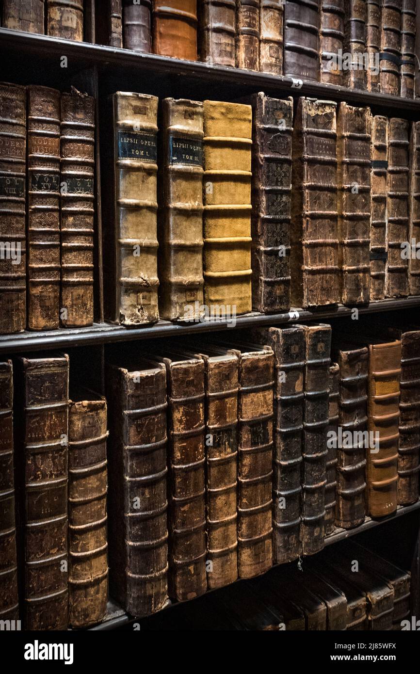 Bücherregale der Southwell Minster Cathedral Library. Stockfoto