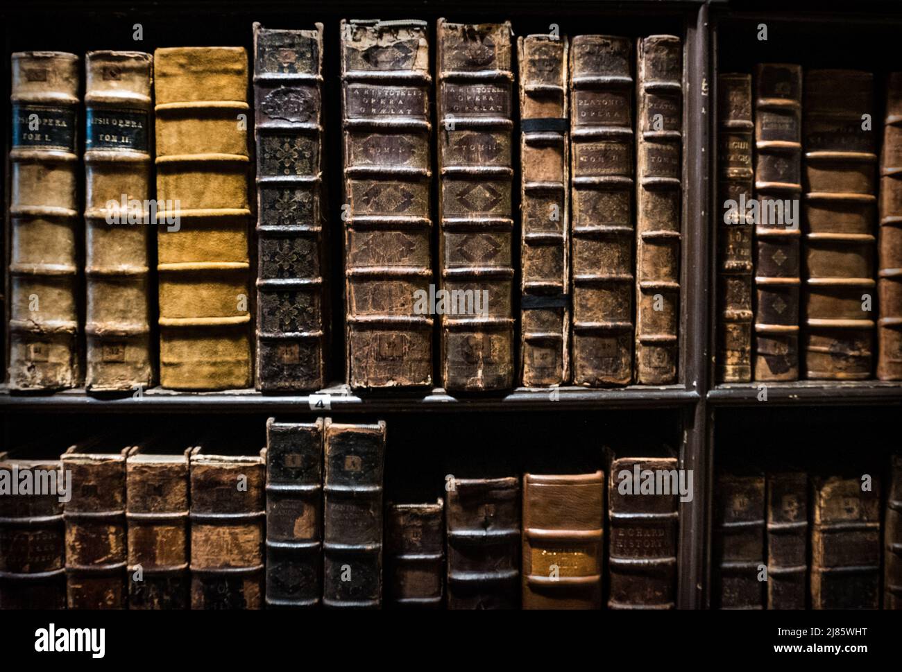 Bücherregale der Southwell Minster Cathedral Library. Stockfoto