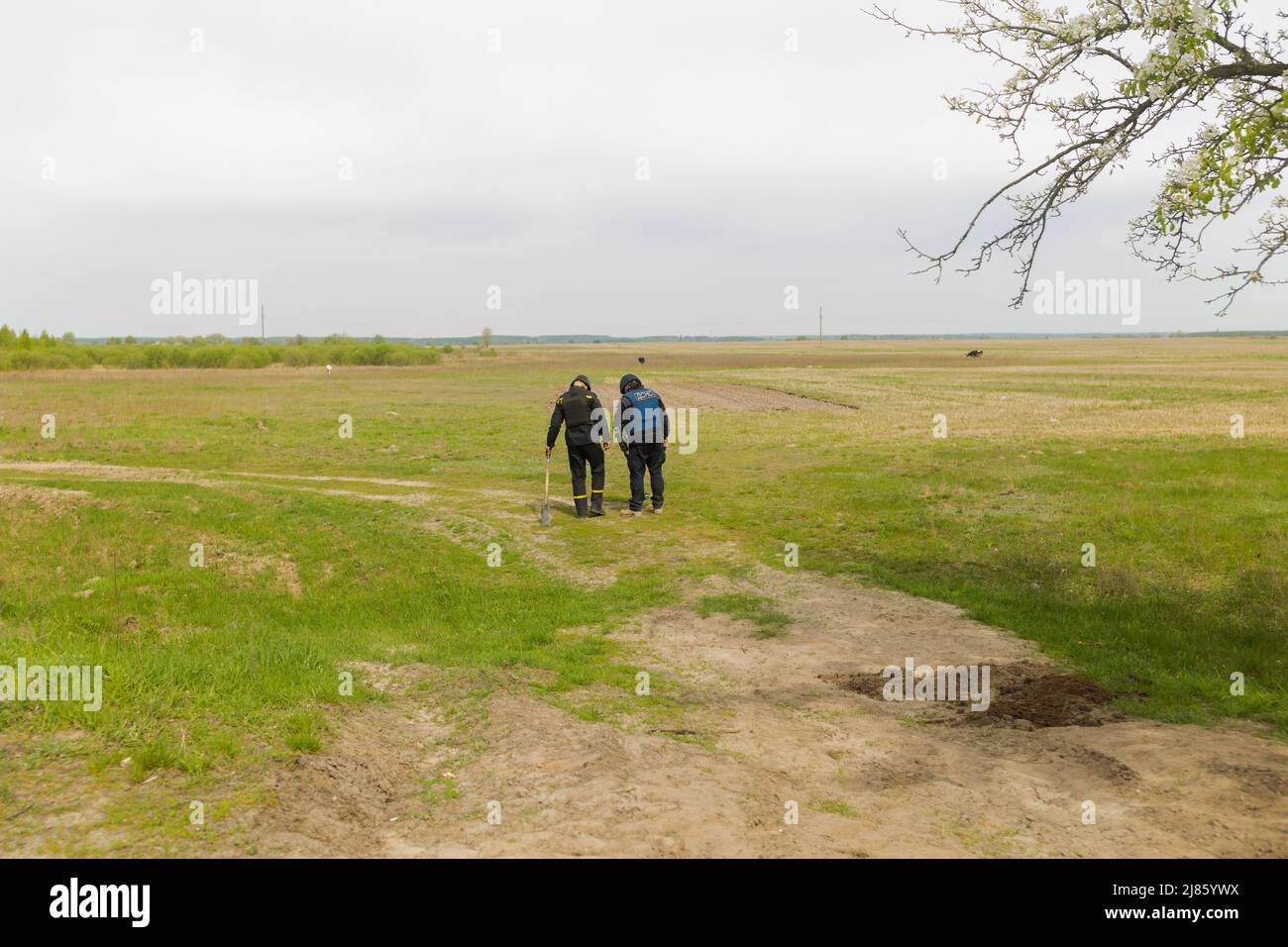 Ukrainische Sapper entfernen Minen, die von russischen Besatzern auf einem Feld in der Region Kiew gepflanzt wurden Stockfoto
